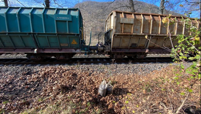 Zonguldak’ta tren’den kömür çalan şahıslar yakalandı