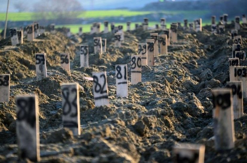 Diyanetten Önemli Açıklama; Depremde Ölenler Kefensiz ve Yıkanmadan Gömülebilir mi ?