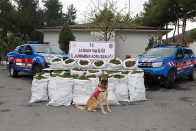 Bafra’da160 Kilogram Uyuşturucu Ele Geçirildi