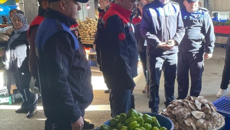 Zonguldak Belediyesi, Yabani Mantarları Müsadere Edip İmha Etti