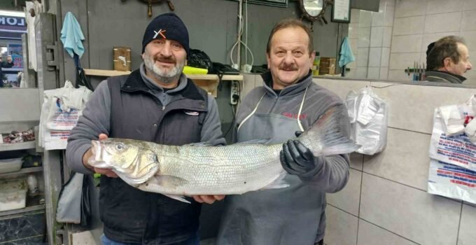 Akçakoca’da balıkçıların ağları doldu, 9 kiloluk levrek yakalandı