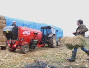 Üniversiteli çoban kış mevsiminde küçükbaş hayvan bakımının zorluklarını anlattı