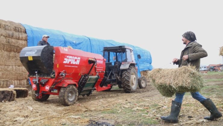 Üniversiteli çoban kış mevsiminde küçükbaş hayvan bakımının zorluklarını anlattı