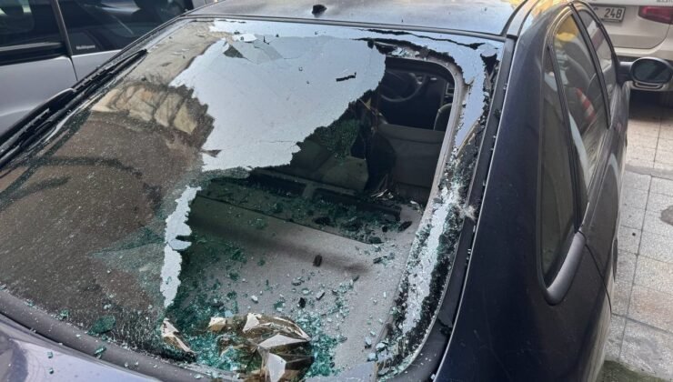 Köpek, beşinci kattan park halindeki aracın üzerine düştü