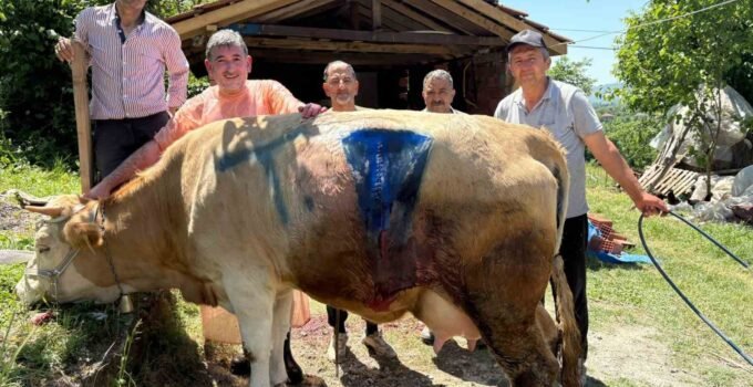 Yüz binde bir görülen olay