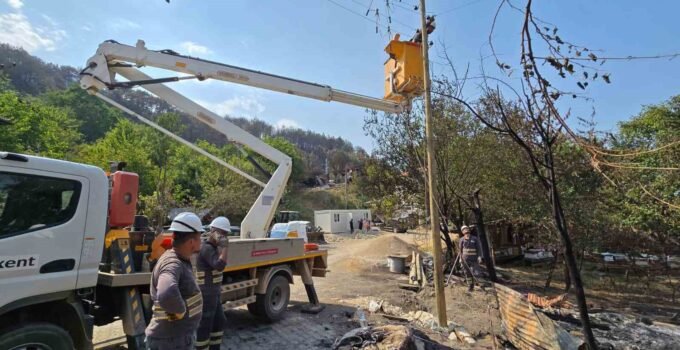 Yangından etkilenen köyde yeniden yaşam alanları kuruluyor