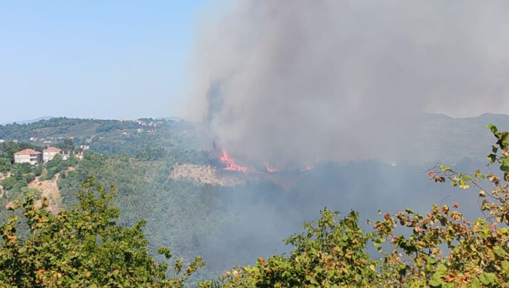 Alaplı’da ormanlık alanda yangın çıktı