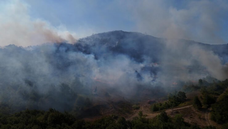 Düzce’de orman yangını korkuttu: 277 kişiyle dört saatlik mücadele