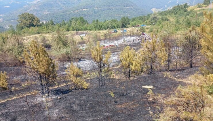 Eğerci-Dereköy’de çıkan yangın büyümeden söndürüldü