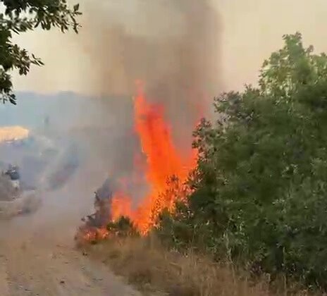 Kdz. Ereğli’de orman yangını: Bir polis memuru yaralandı, vatandaşlar su taşıdı