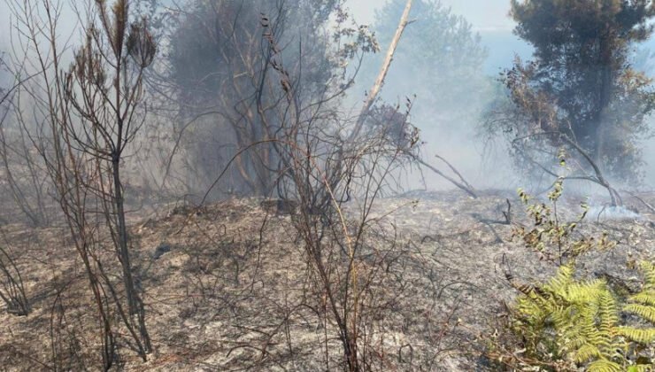 Kozlu’da orman yangını kontrol altına alındı