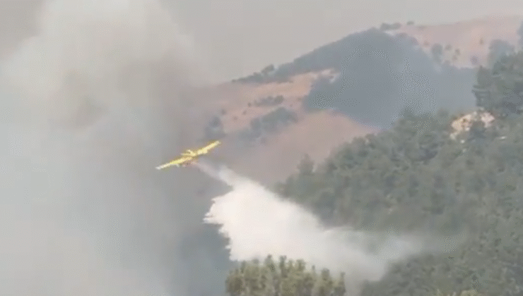 Yangınlardan etkilenen 13 ilde 407 konut ağır hasarlı: 128 milyon TL’lik destek gönderildi