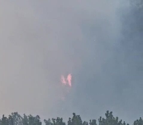 Bartın’da orman yangını başladı, müdahale sürüyor