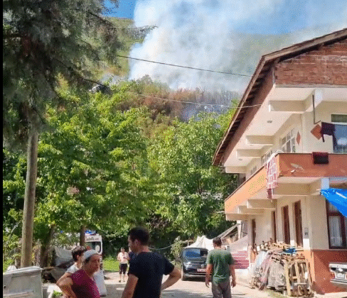 Bartın’ın Ulus ilçesinde orman yangını