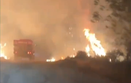Çanakkale Gelibolu’daki orman yangınına havadan ve karadan müdahale sürüyor