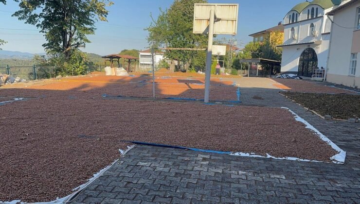 Fındık fiyatları 10 dolara yaklaşıyor