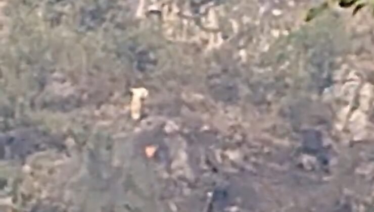 Karabük’te Orman Yangını Kontrol Altına Alındı