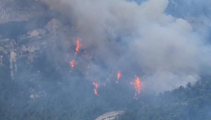 Karabük’te orman yangını: Rüzgar alevleri büyütüyor, müdahale havadan ve karadan sürüyor