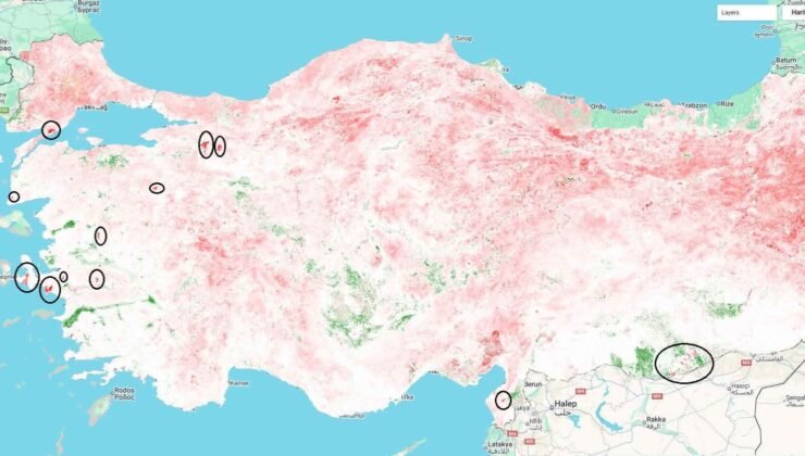 Kutoğlu:  “Ülke Genelinde Ciddi Bir Kuraklık Söz Konusu”