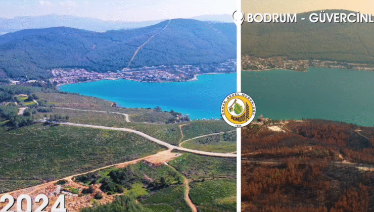 Orman Genel Müdürlüğü, “Yanan alanlar otellere tahsis edilmedi”