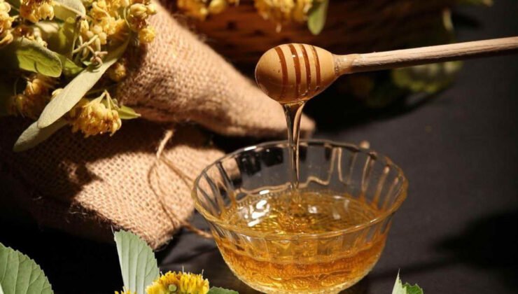 Yenice Ihlamur Balı Avrupa Yolunda, AB Coğrafi İşaret Süreci Resmen Başladı