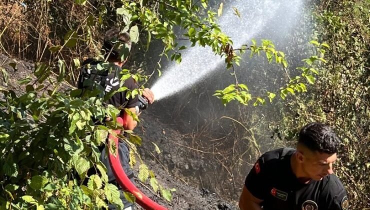 Zonguldak’ta anız yangını korkuttu