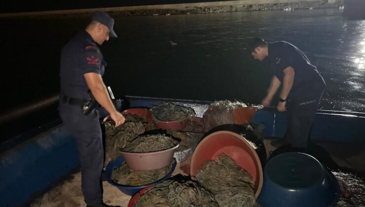 Zonguldak’ta kaçak kalkan avcılığına geçit yok