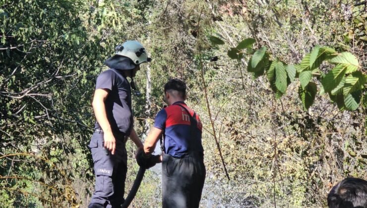 Zonguldak’ta orman yangını kısa sürede söndürüldü