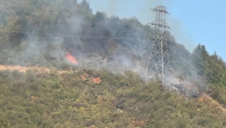 Zonguldak’ta ormanlık alanda yangın çıktı