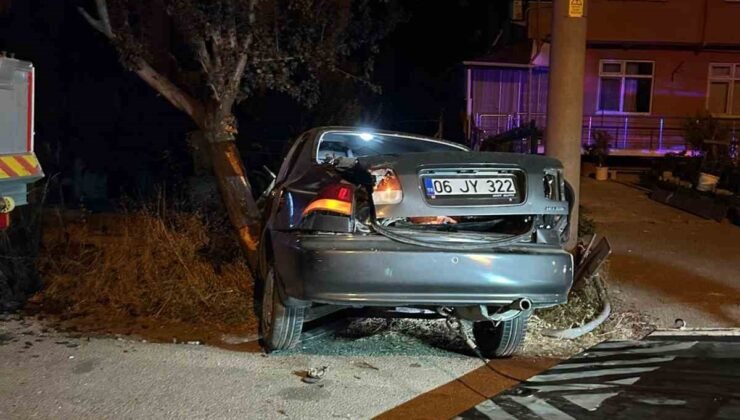Alkollü sürücü ağaca çarptı: 2 yaralı