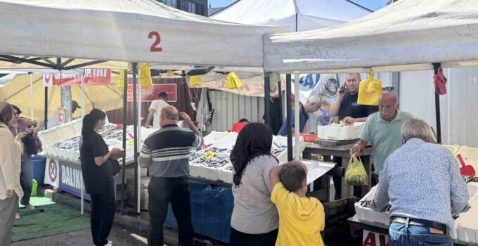 Tezgahlarda hamsi bolluğu