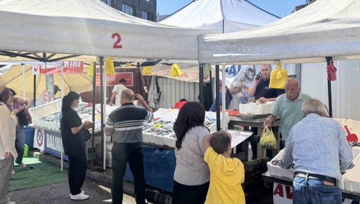 Tezgahlarda hamsi bolluğu