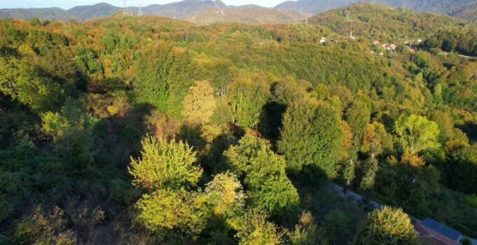 Zonguldak ormanlarında sonbahar renkleri havadan görüntülendi