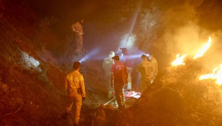 Denizli’de Orman Yangınıyla Mücadele Gece Boyu Sürdü