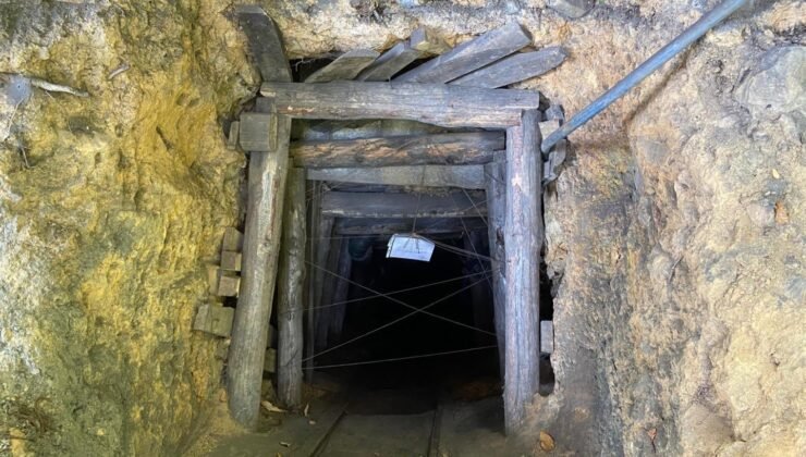 Zonguldak’ta bir haftalık denetimlerin bilançosu açıklandı