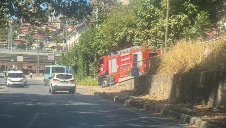 Zonguldak’ta ormanlık alanda çıkan yangın söndürüldü