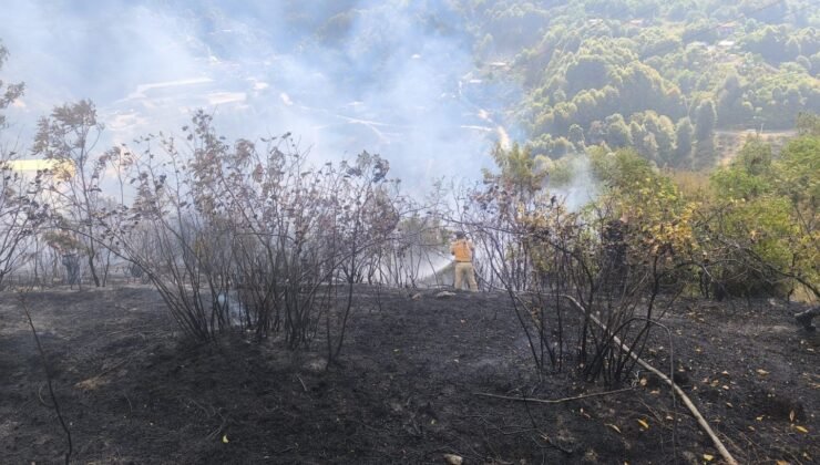 Zonguldak’ta örtü yangını kontrol altına alındı