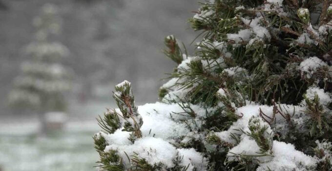 Uludağ’da ilk kar yağışı böyle görüntülendi