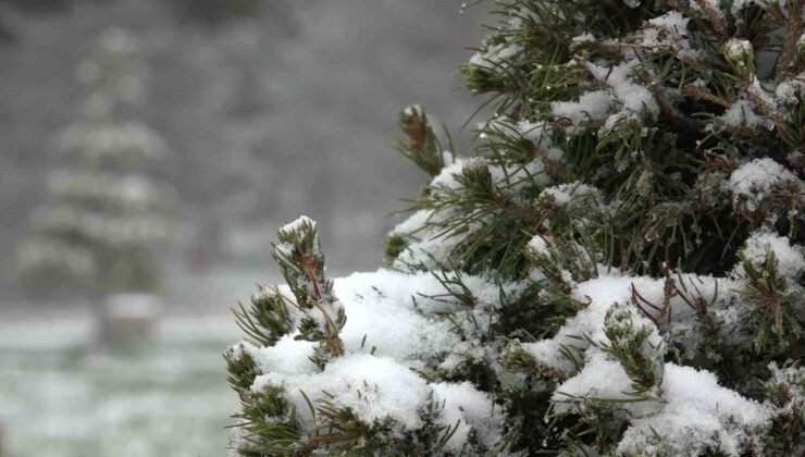 Uludağ’da ilk kar yağışı böyle görüntülendi