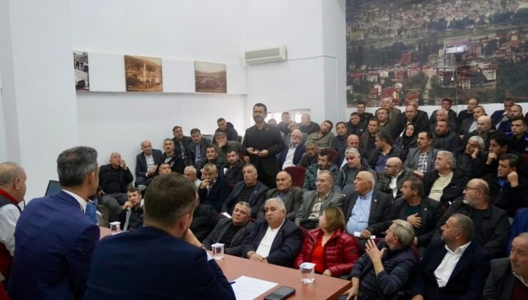 Çaycuma’da kokarca böceğiyle mücadele seferberliği