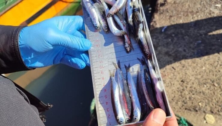 Ereğli’de su ürünleri denetimi: 153 tekneye e-seyir onayı