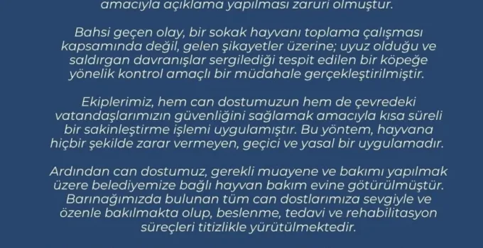 Zonguldak Belediyesi’nden sokak hayvanı müdahalesine ilişkin açıklama