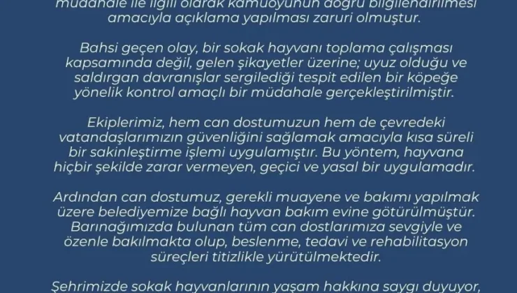 Zonguldak Belediyesi’nden sokak hayvanı müdahalesine ilişkin açıklama