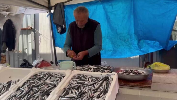 Zonguldak’ta hamsi 100 liraya düştü, tezgahlar doldu taştı