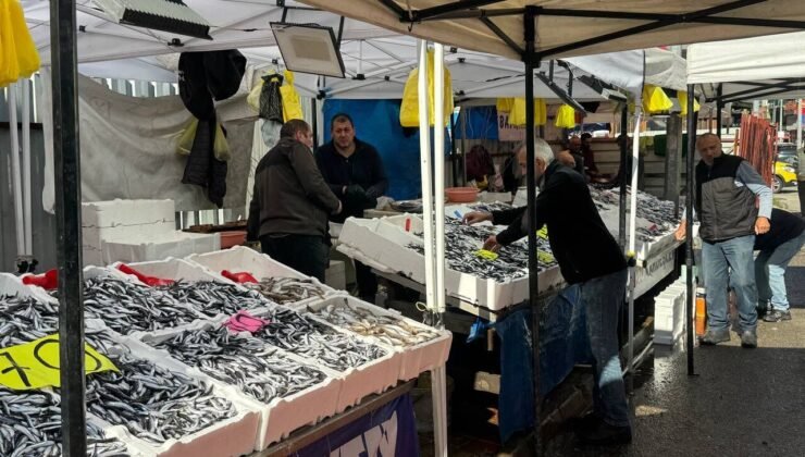 Zonguldak’ta hamsi 70 liradan alıcı buluyor