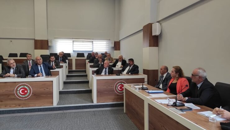 Zonguldak’ta Kokarca Böceğiyle Mücadele Gündemde