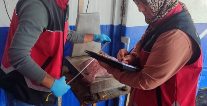 Zonguldak’ta su ürünleri denetimleri aralıksız sürüyor
