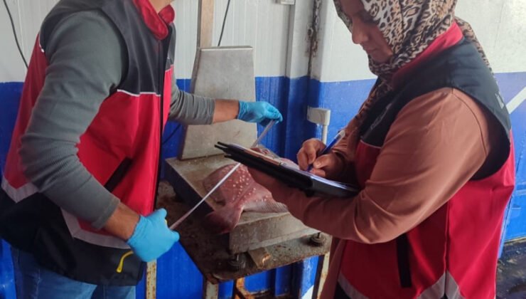 Zonguldak’ta su ürünleri denetimleri aralıksız sürüyor