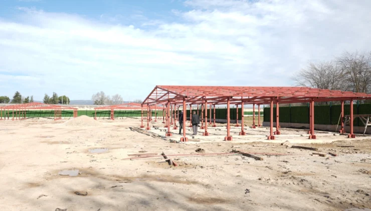 Bursa Yenişehir'De 'Hayvan Bakımevi Ve Doğal Yaşam Alanı' Gün Sayıyor