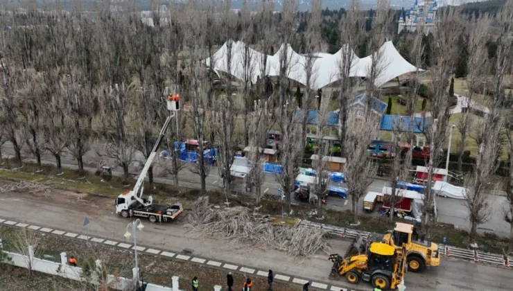 Eskişehir Büyükşehir'Den Ağaçlara Gençleştirme Çalışması